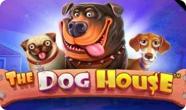 HollyWin Casino – The Dog House
